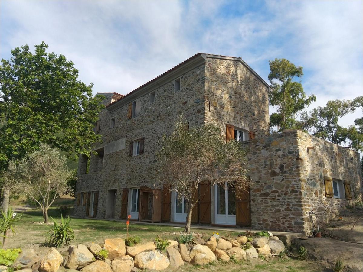 Mulinu Biancu Hotel Poggio-d'Oletta Ngoại thất bức ảnh